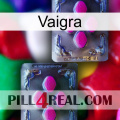 Vaigra 01